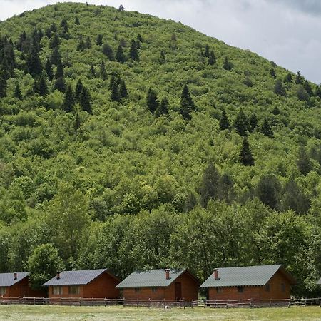 Farma Sotira Ξενοδοχείο Leskovik Εξωτερικό φωτογραφία