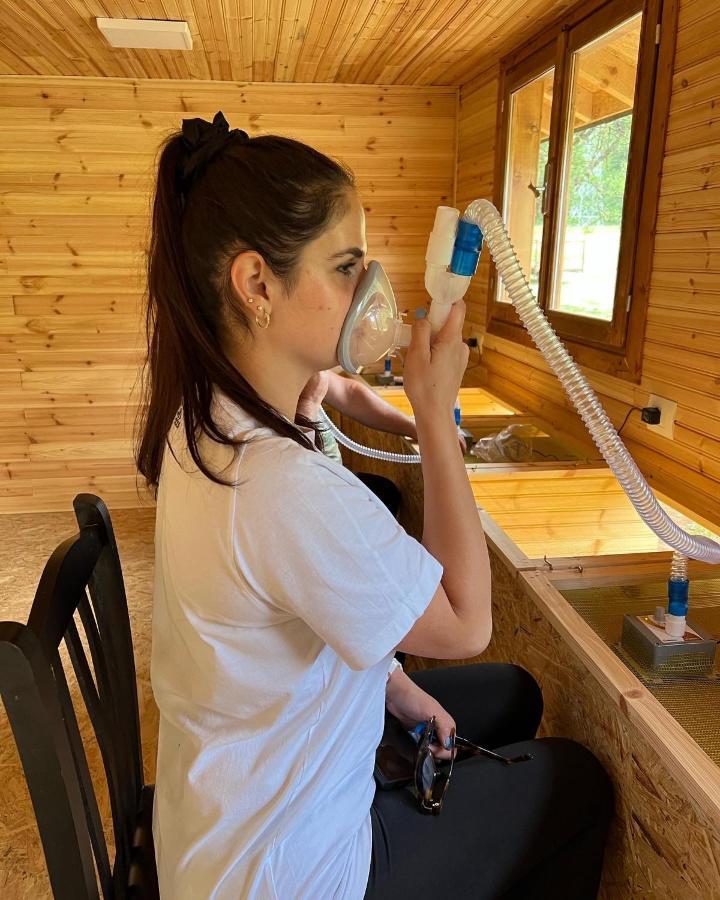 Farma Sotira Ξενοδοχείο Leskovik Εξωτερικό φωτογραφία
