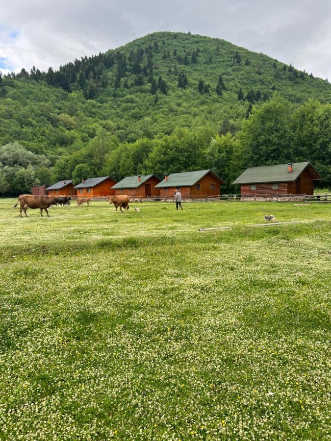 Farma Sotira Ξενοδοχείο Leskovik Εξωτερικό φωτογραφία