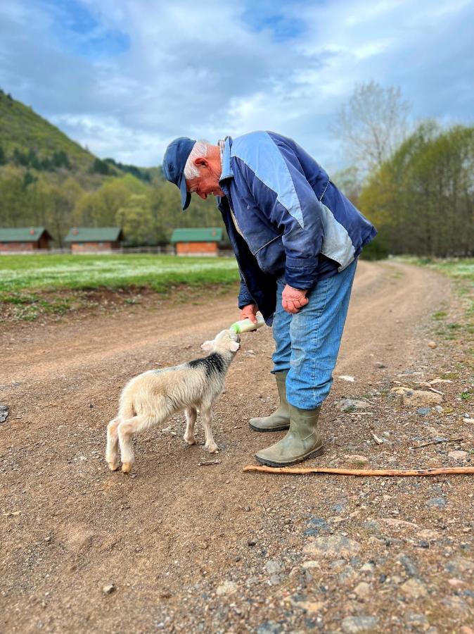 Farma Sotira Ξενοδοχείο Leskovik Εξωτερικό φωτογραφία
