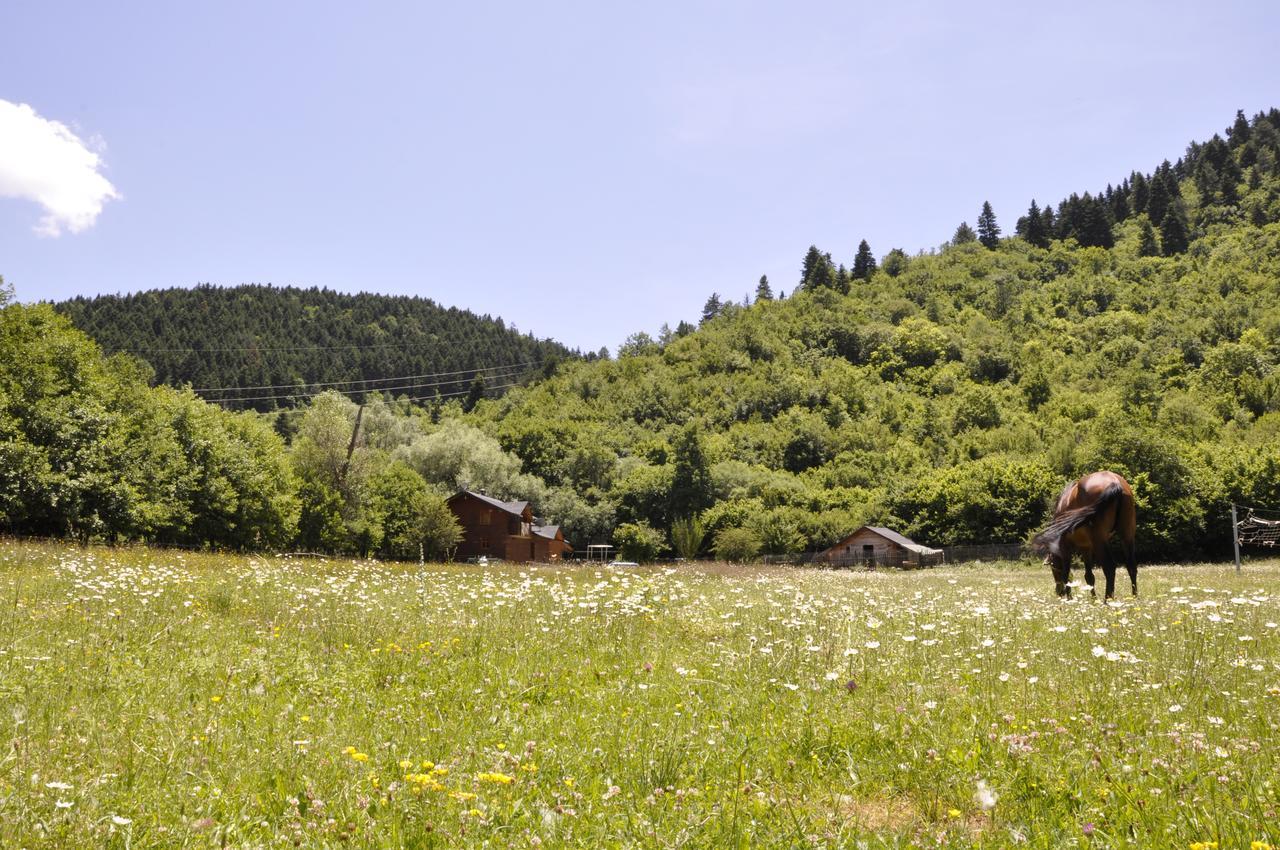 Farma Sotira Ξενοδοχείο Leskovik Εξωτερικό φωτογραφία
