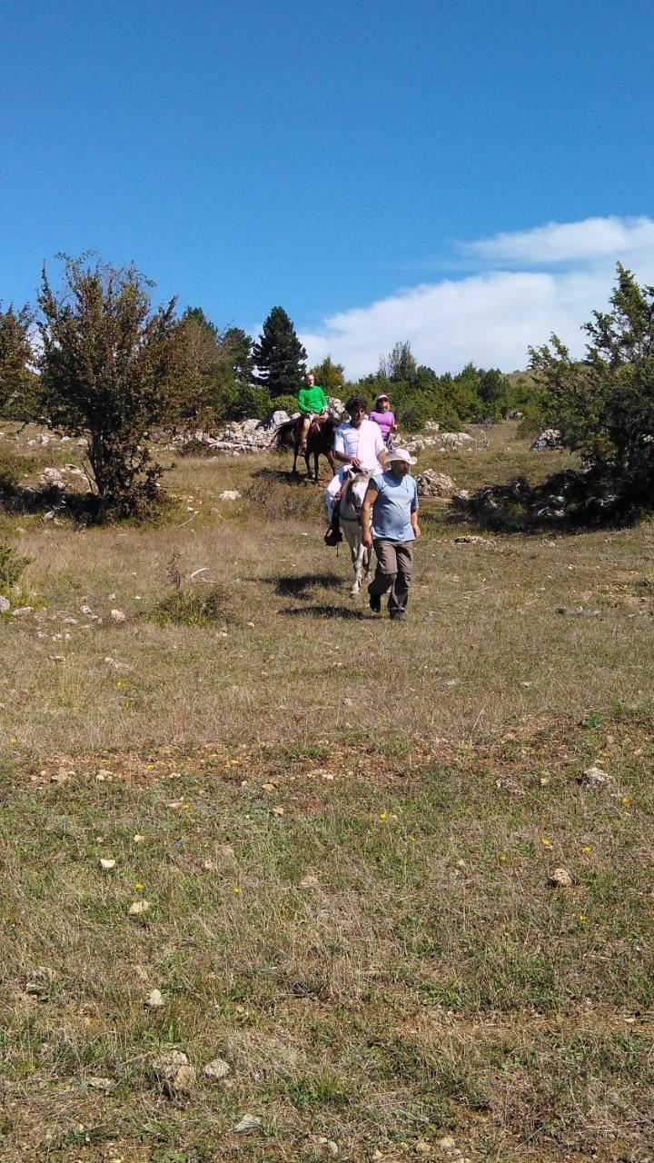 Farma Sotira Ξενοδοχείο Leskovik Εξωτερικό φωτογραφία
