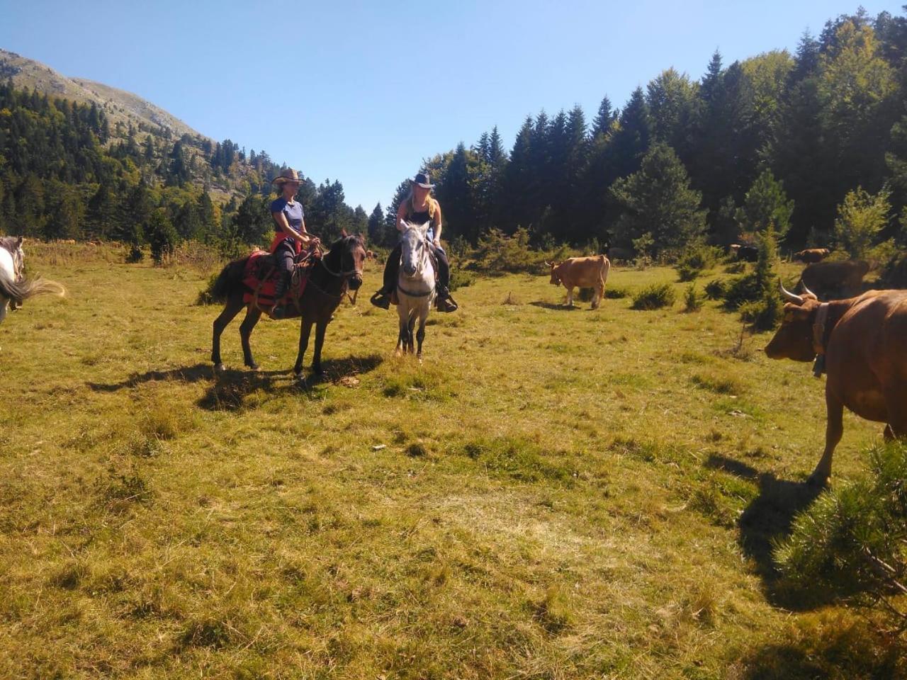 Farma Sotira Ξενοδοχείο Leskovik Εξωτερικό φωτογραφία